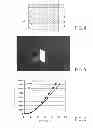 Fig. 03 - Electrode foil and organic device