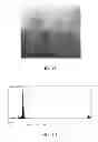 Fig. 05 - Electrode foil and organic device