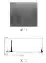 Fig. 06 - Electrode foil and organic device