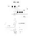 Fig. 08 - White organic light emitting device