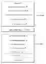 Fig. 01 - White organic light emitting device