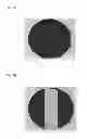 Fig. 08 - Semiconductor light-emitting element