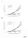 Fig. 07 - Dynamic strain hardening in polymer nanocomposites