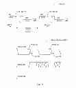 Fig. 04 - Synchronizer with high reliability