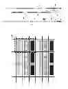 Fig. 03 - Display pixel structure, liquid crystal panel, liquid crystal display device and driving method