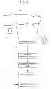 Fig. 09 - Biological imaging device and biological imaging method