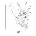 Fig. 02 - Assessment of microvascular circulation