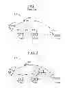 Fig. 02 - Laser spot tracking with off-axis angle detection