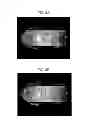 Fig. 06 - System and method for generating three-dimensional images from two-dimensional bioluminescence images and visualizing tumor shapes and locations