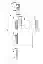 Fig. 09 - VIDEO PROCESSING DEVICE, VIDEO PROCESSING METHOD, PROGRAM