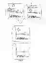 Fig. 04 - Antiviral compounds and methods of use thereof