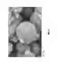Fig. 03 - Compositions comprising solid particles entrapped in collapsed polymeric microspheres, and methods of making the same