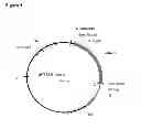 Fig. 07 - Compositions and methods for producing isoprene