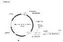 Fig. 128 - Compositions and methods for producing isoprene