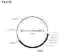 Fig. 72 - Compositions and methods for producing isoprene