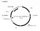 Fig. 79 - Compositions and methods for producing isoprene