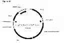 Fig. 83 - Compositions and methods for producing isoprene