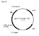Fig. 95 - Compositions and methods for producing isoprene