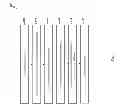 Fig. 02 - Method of manufacturing a semiconductor device