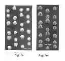 Fig. 07 - Method of producing nitride nanowires with different core and shell V/III flow ratios