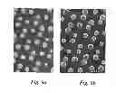 Fig. 08 - Method of producing nitride nanowires with different core and shell V/III flow ratios