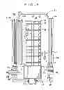 Fig. 06 - Batch-type remote plasma processing apparatus