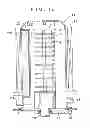 Fig. 13 - Batch-type remote plasma processing apparatus