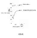 Fig. 09 - Method for fabricating black silicon by using plasma immersion ion implantation