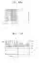 Fig. 22 - Method of forming patterns for semiconductor device