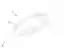 Fig. 17 - Coaxial cable connector having electrical continuity member
