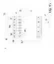 Fig. 06 - POWER DISTRIBUTION UNIT AND POWER INPUT MODULE THEREOF