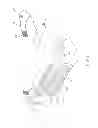Fig. 03 - ADJUSTABLE PROTECTIVE MATERNITY BELT