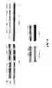 Fig. 15 - Saposin-A derived peptides and uses thereof