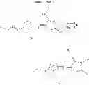 Fig. 53 - Nitrogen-containing heterocyclic compound