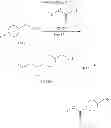 Fig. 63 - Nitrogen-containing heterocyclic compound