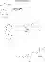 Fig. 74 - Nitrogen-containing heterocyclic compound