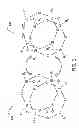 Fig. 02 - Synthesis of functional fluorinated polyhedral oligomeric silsesquioxane (F-POSS)