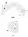 Fig. 40 - Prosthetic joint assembly and prosthetic joint member