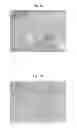 Fig. 06 - COMPOSITE SUPPORT CONTAINING SILK AND COLLAGEN, AND PREPARATION METHOD THEREOF