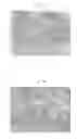 Fig. 07 - COMPOSITE SUPPORT CONTAINING SILK AND COLLAGEN, AND PREPARATION METHOD THEREOF