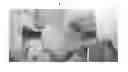 Fig. 08 - COMPOSITE SUPPORT CONTAINING SILK AND COLLAGEN, AND PREPARATION METHOD THEREOF