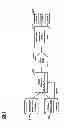 Fig. 06 - Systems and methods for data collection and providing coupons at a point of return
