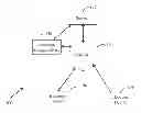 Fig. 01 - METHOD AND SYSTEM FOR PROVIDING RECOMMENDED CONTENT FOR USER GENERATED CONTENT ON AN ARTICLE