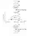 Fig. 01 - Application acceleration with partial file caching