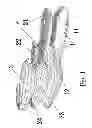 Fig. 02 - INSOLE WITH CONCEPT OF HARMONIC TAI CHI