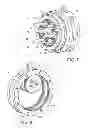 Fig. 05 - Elastic rotary actuator