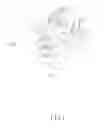 Fig. 07 - STROLLER