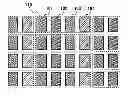 Fig. 01 - Light emitting device including pixel the pixel including sub-pixels