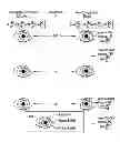 Fig. 01 - Method for designing non-round soft contact lenses