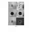 Fig. 08 - Normalization of retinal nerve fiber layer thickness measurements made by time domain-optical coherence tomography